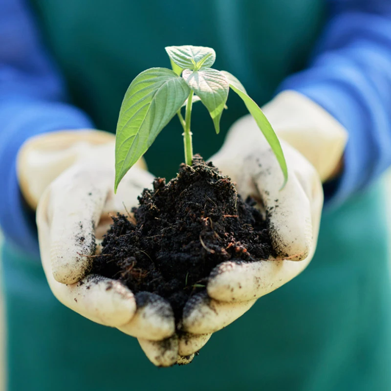 Agriculture & Soil Health Agriculture & Soil Health